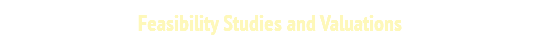 Feasibility Studies and Valuations